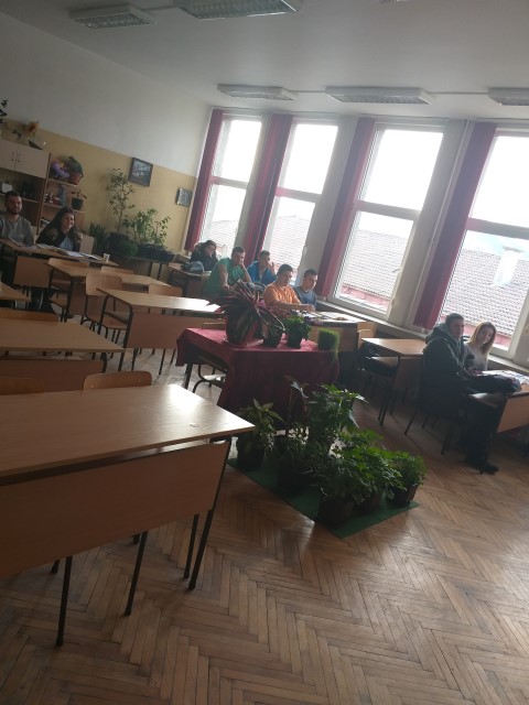 20190301_082038 (Small)
