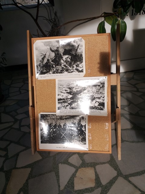 20190301_083255 (Small)