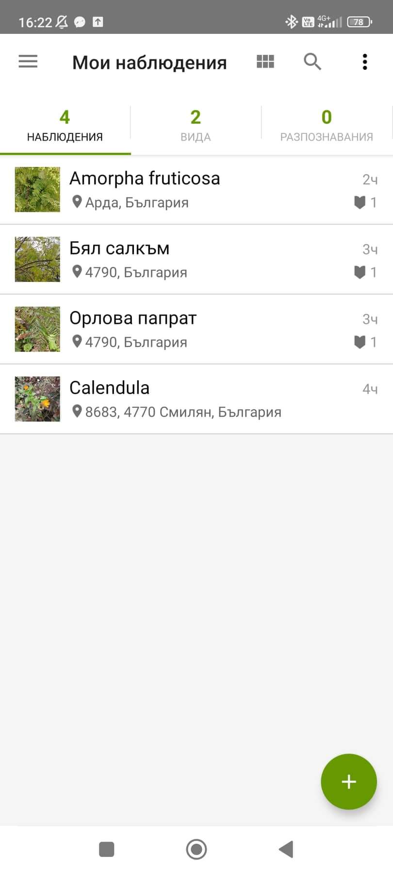 ff2bbfeed30b6eee6131df7c589da3055c.0