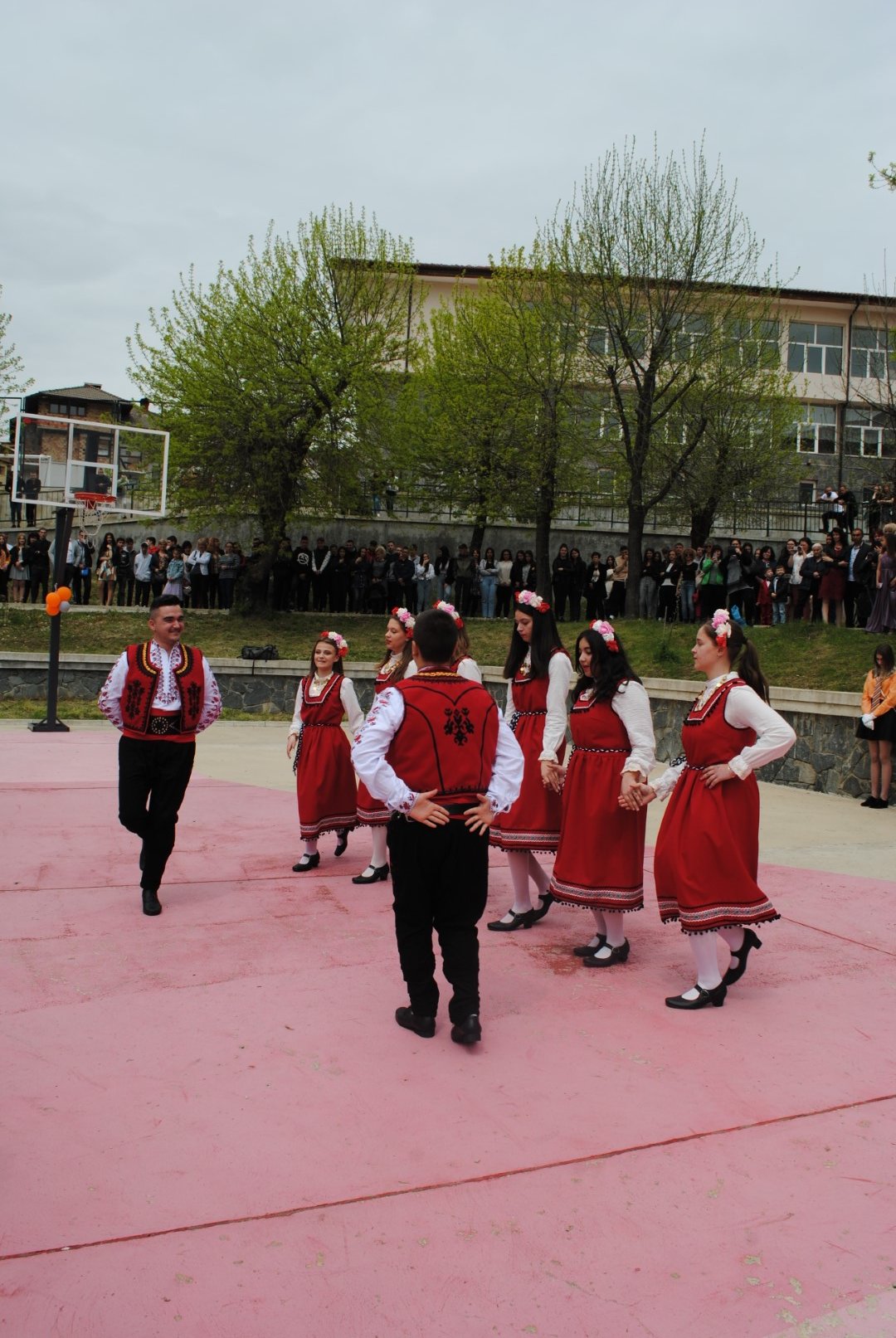 DSC_0105-Large