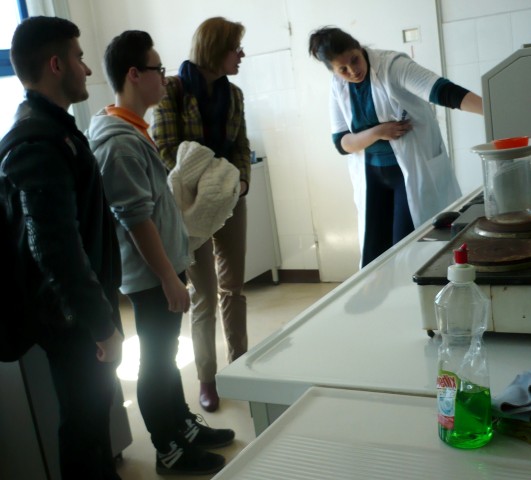 P1120211 (Small)