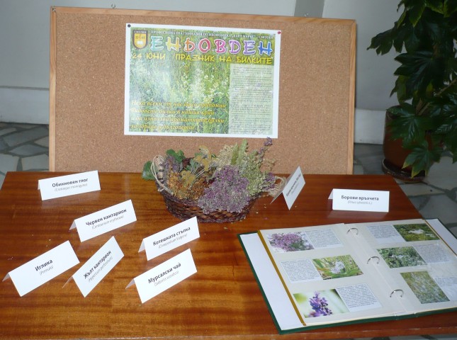 P1100708 (Small).JPG