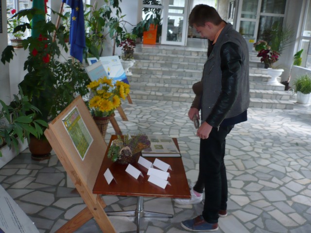 P1100710 (Small).JPG