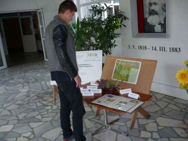 P1100711 (Small).JPG